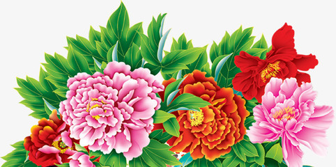 牡丹花開富貴圖 免費高清PNG素材，點綴你的創(chuàng)意設(shè)計